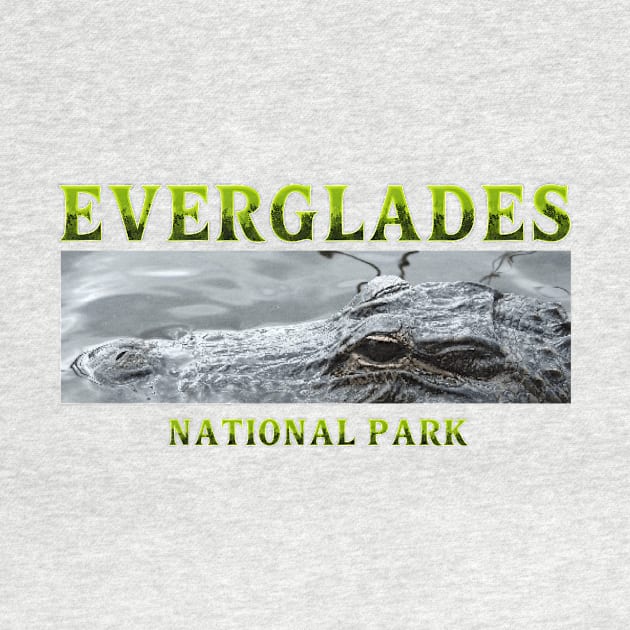 Everglades National Park by teepossible